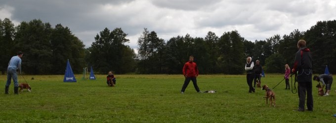 "LVT - Lučkovice 2017"